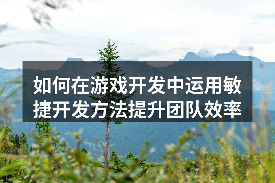 敏捷开发团队协作