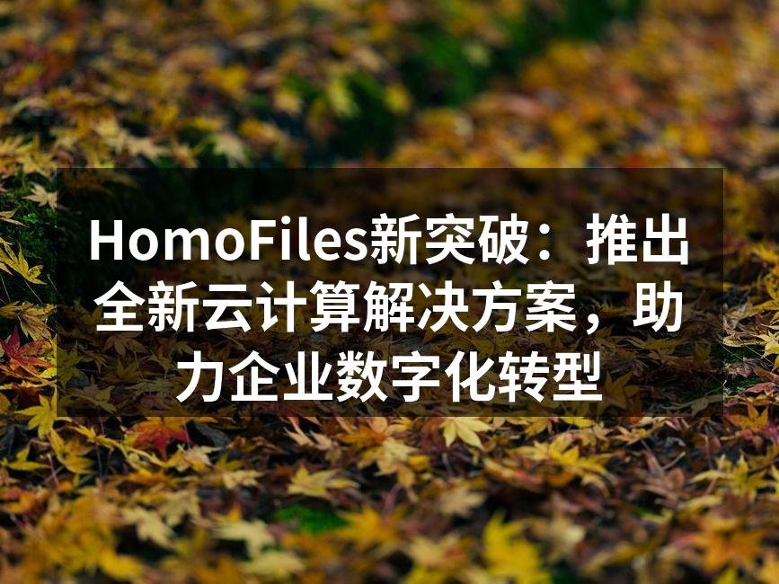 HomoFiles云计算解决方案界面展示